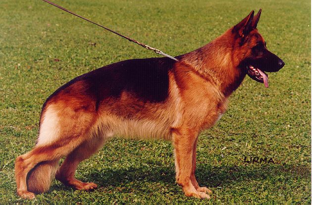 Pascha von der Jahnhöhe