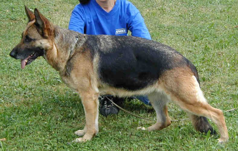 Xeni von der Liebeswarte