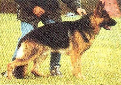Image not found