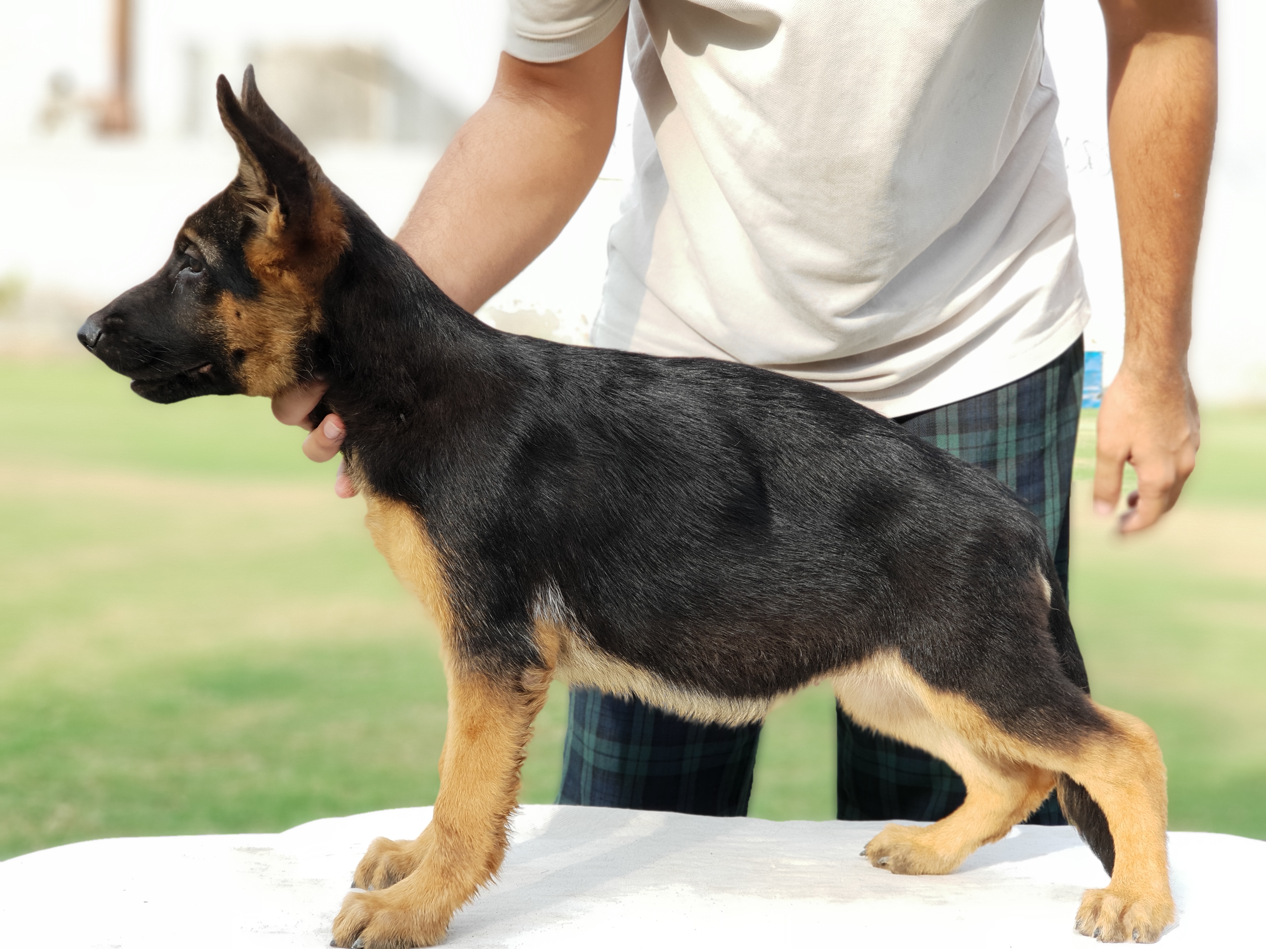 Hailey vom Team Friends