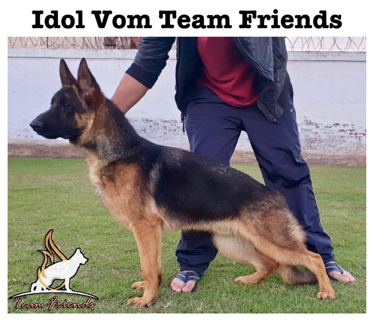 Idol vom Team Friends