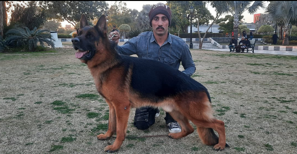 Boss di Casa Blackrunner