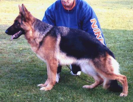 Dixi vom Frankengold