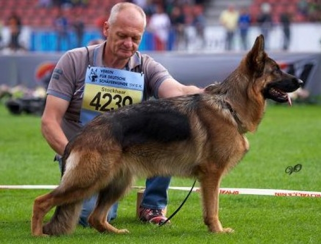 Lily von Haus Trendy