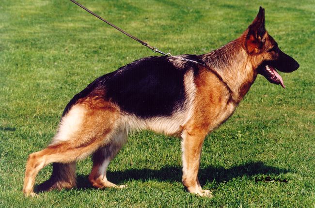 Lea vom Holtkämper See