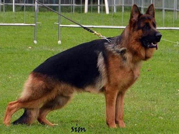 Uslan von Bad-Boll