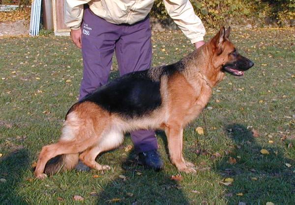 Ewa du Clos de Patmisand