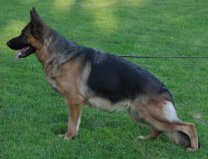 Gianna vom Hühnegrab