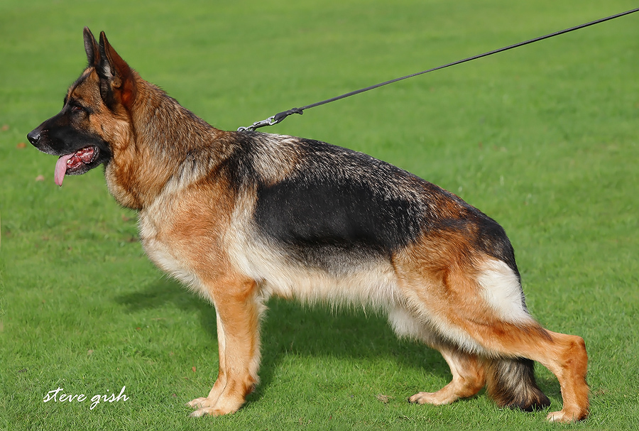 Fenja vom Team Baierblick
