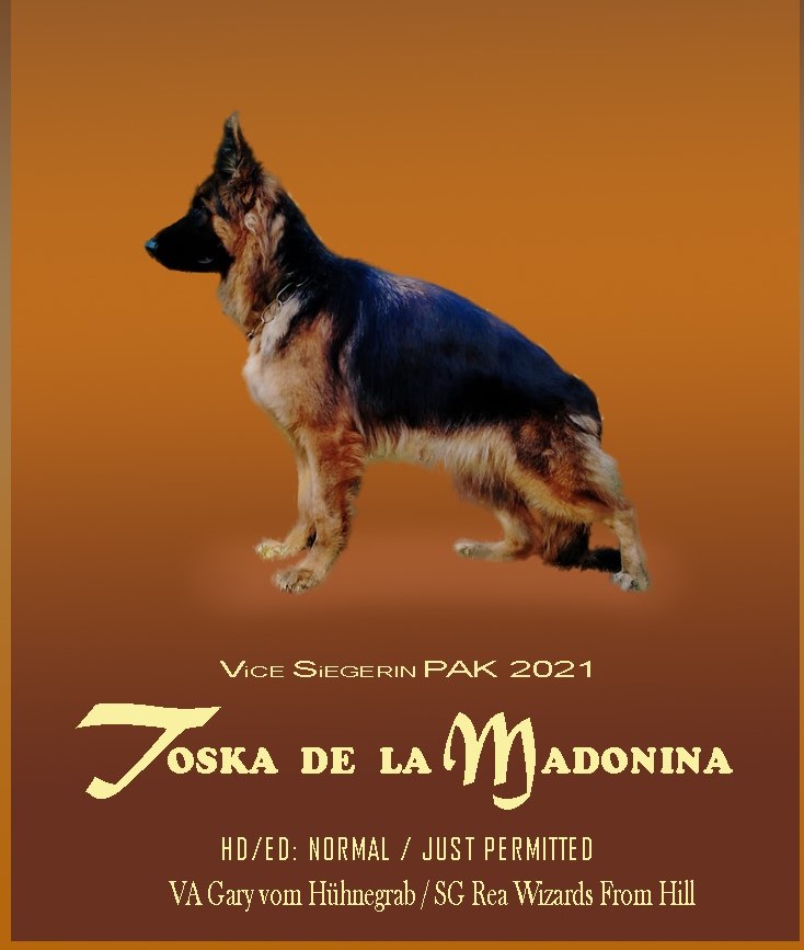 Toska de la Madonina