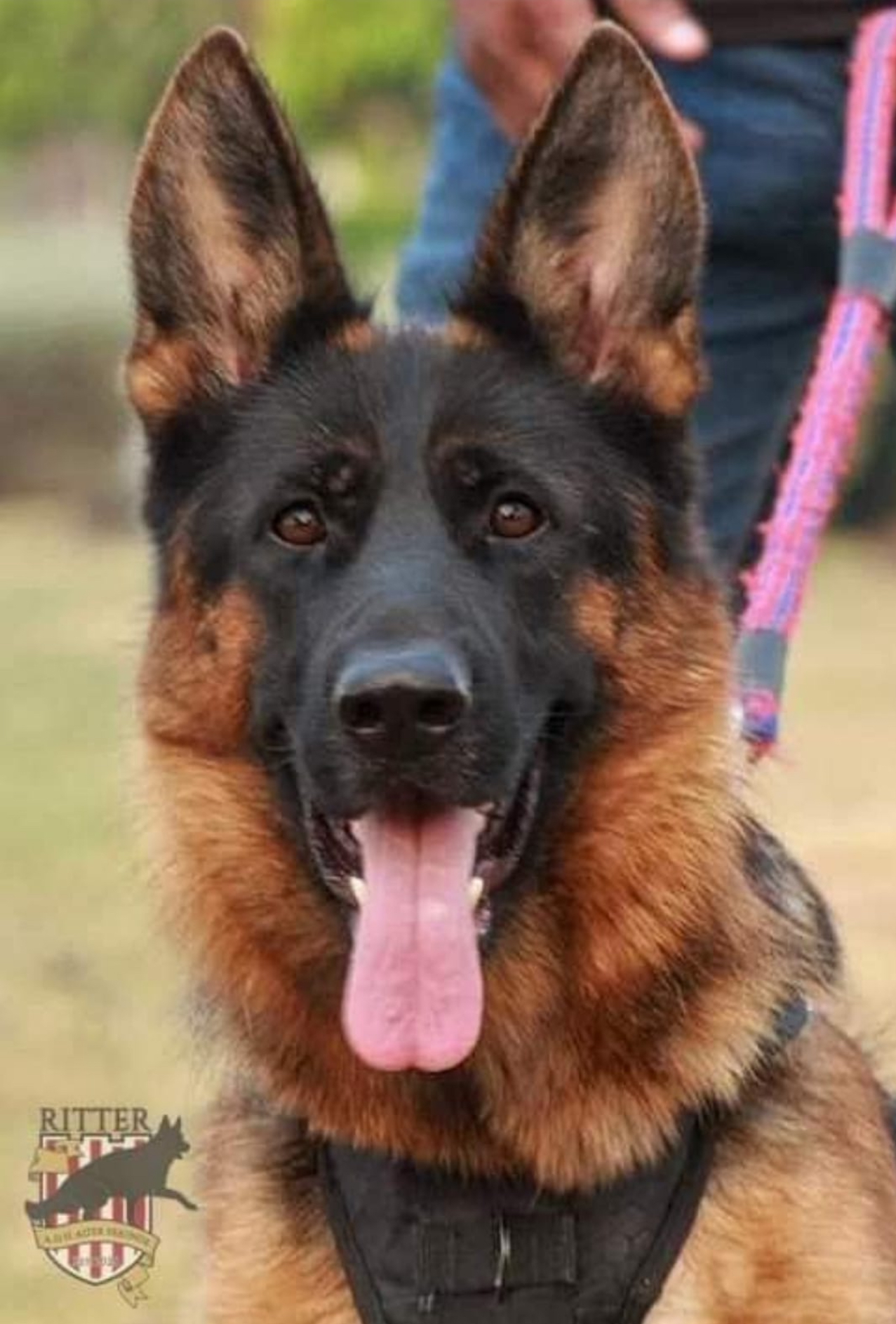 Misty von Trixi Haus