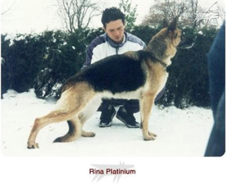 Rina von dem Platinium