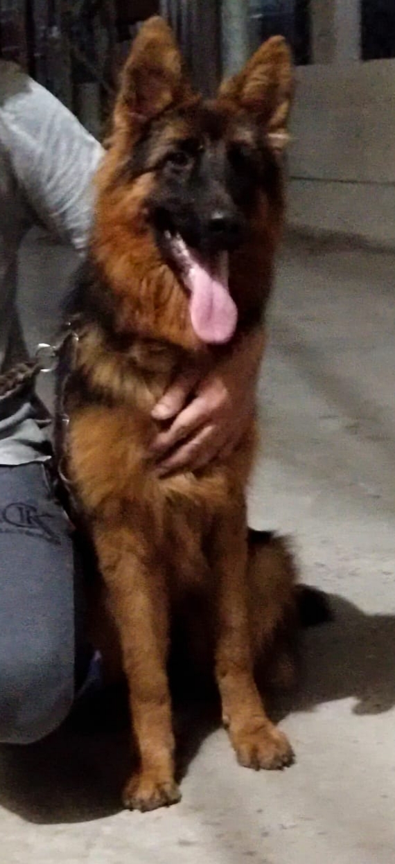  Blinka di Casa Maleficent