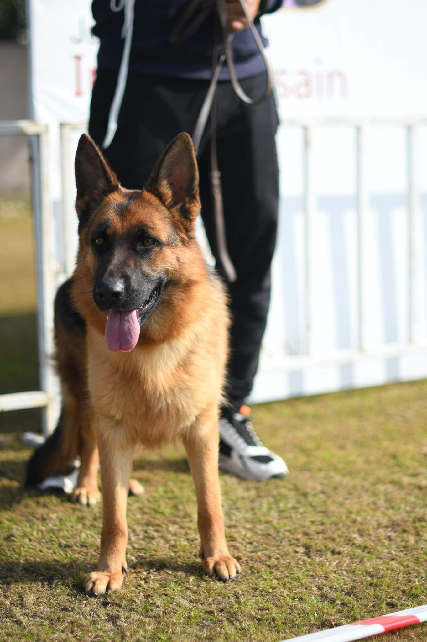 Team United's Hello Baby 