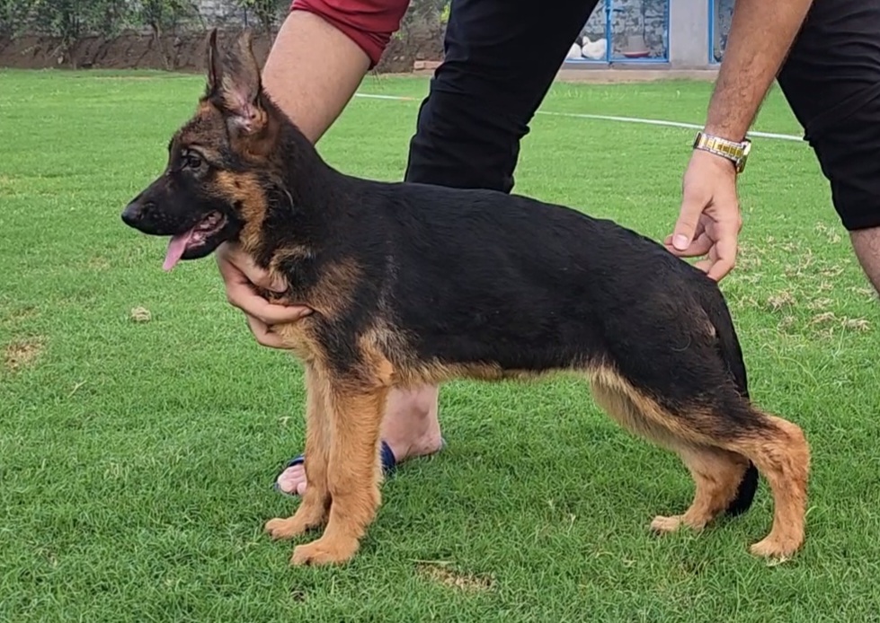  Yet vom Team Friends