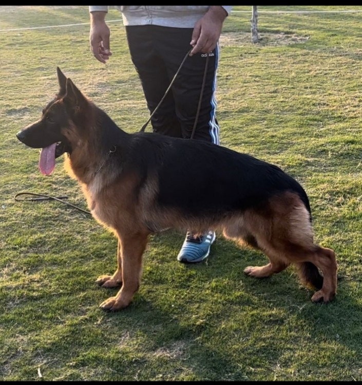  Hacker vom Game Time