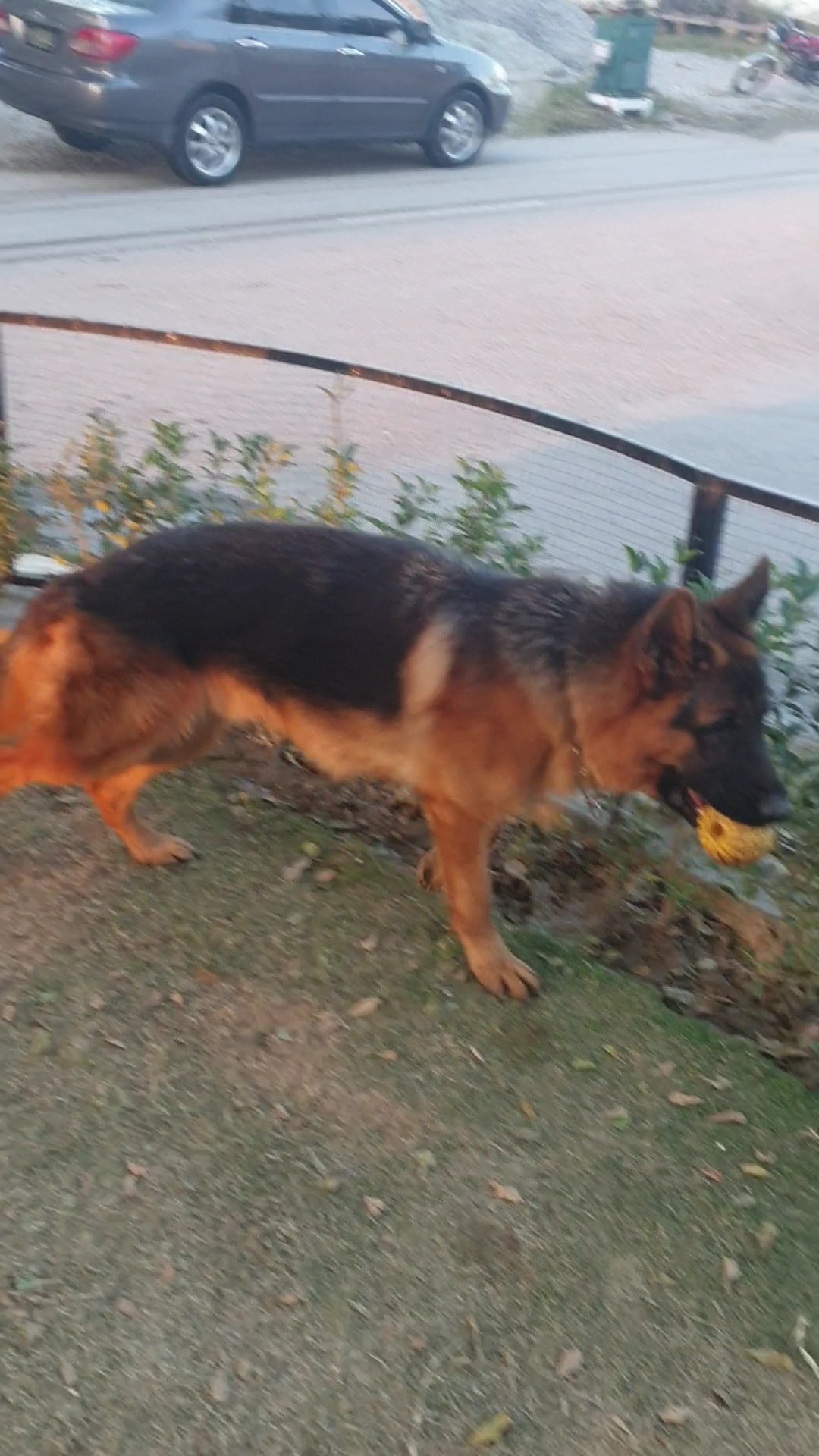  Albus von Team Islamabad
