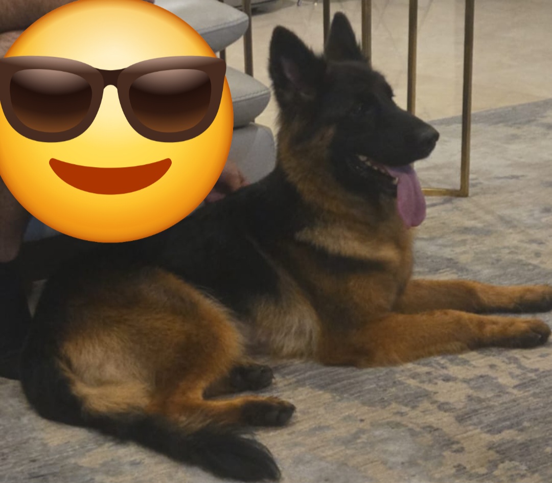 Image not found