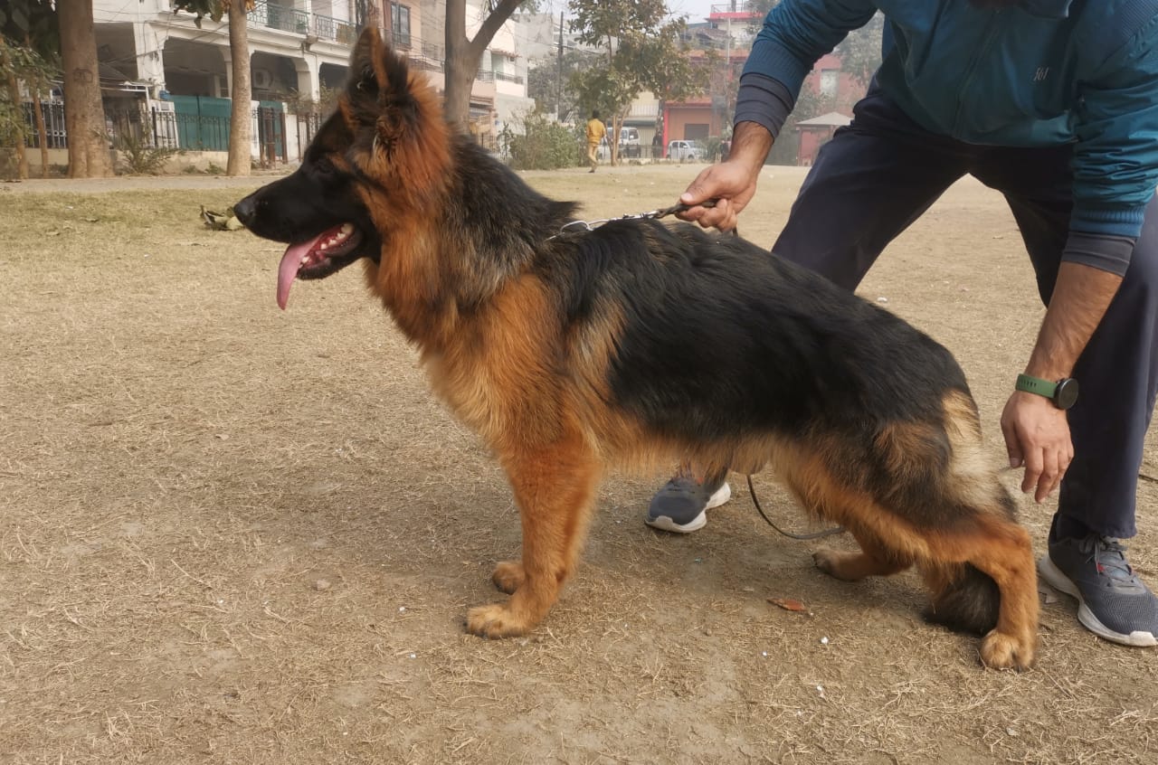  Yuri vom King's Bourne