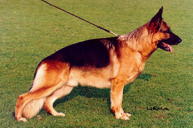 Lord vom Georg Vicktor Turm