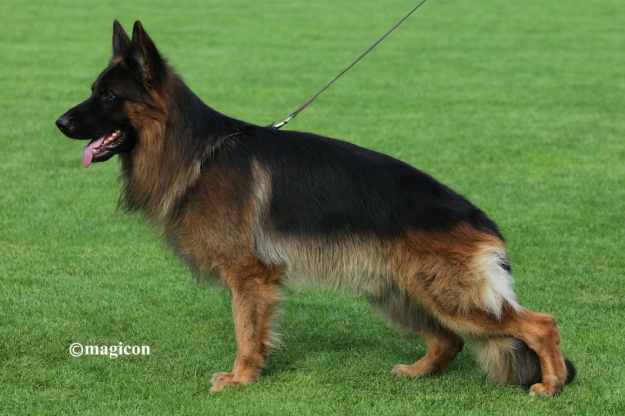 Avatar vom Sandstein