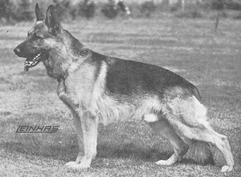 Canto von der Wienerau