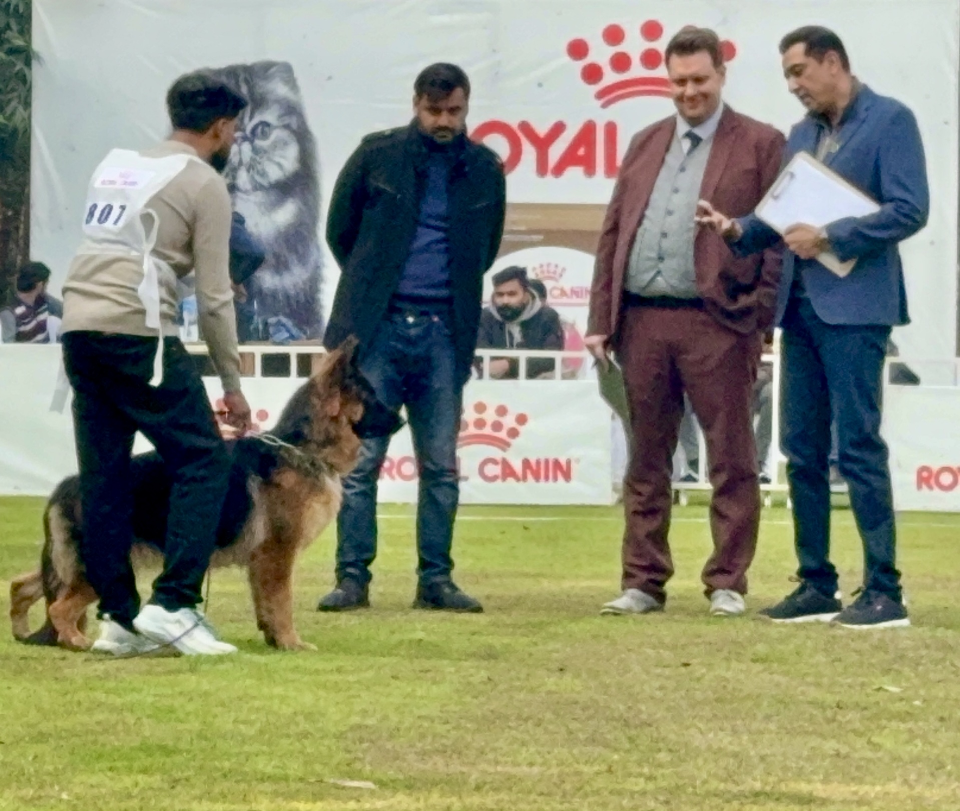 Floria vom Wolf Hercules