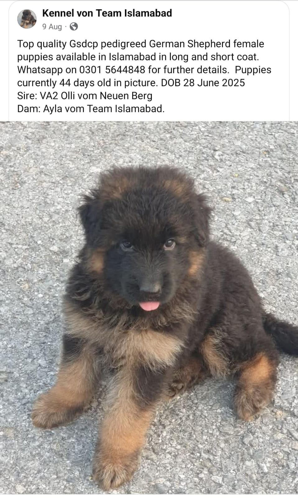 Image not found