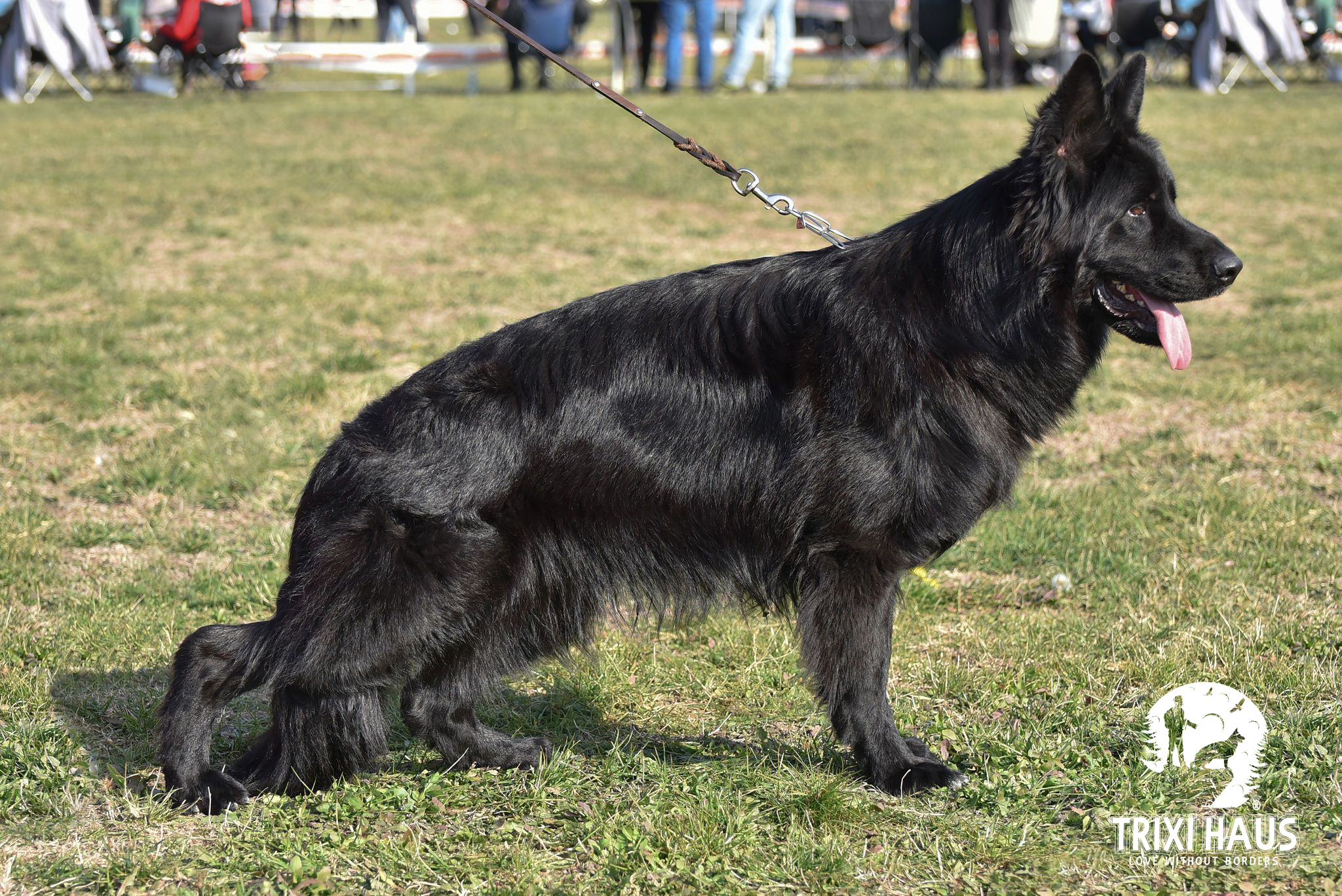Nero von Trixi Haus