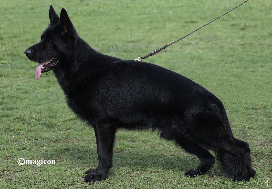 Marlo von der Jugprom