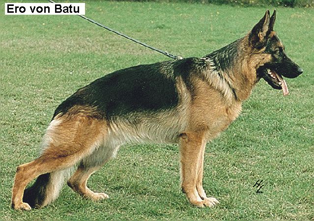 Ero von Batu