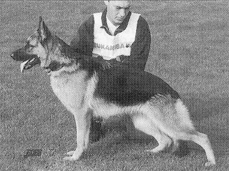 Oura vom Haus Kalbach