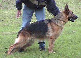 Ora vom Müdesheimerland