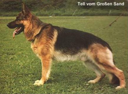 Tell vom Großen Sand
