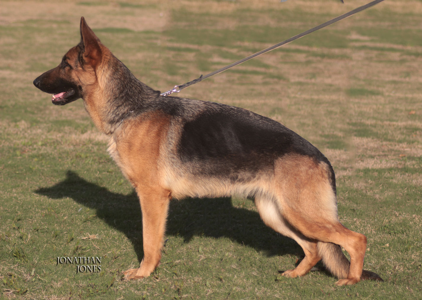 Jilly vom Team Valancia