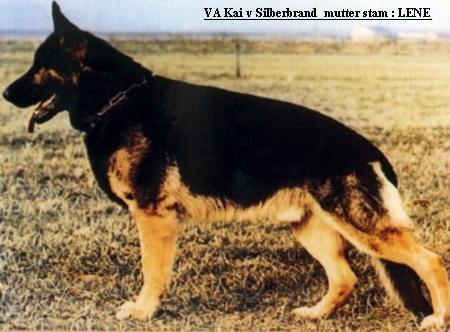Kai vom Silberbrand