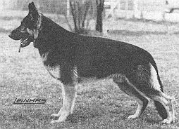 Bernd vom Grossen Land