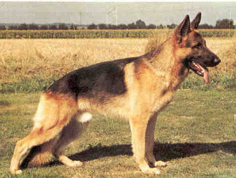 Kanto von der Teufelskanzel