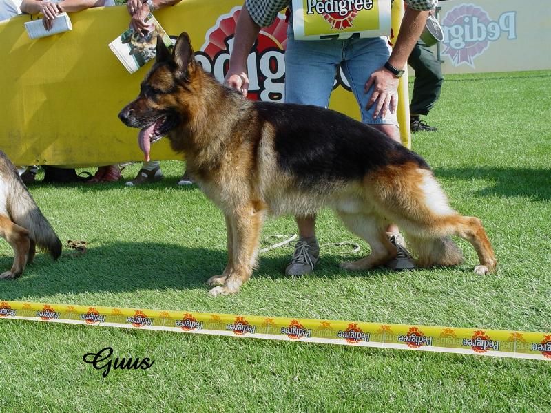 Noris von Gloria dei