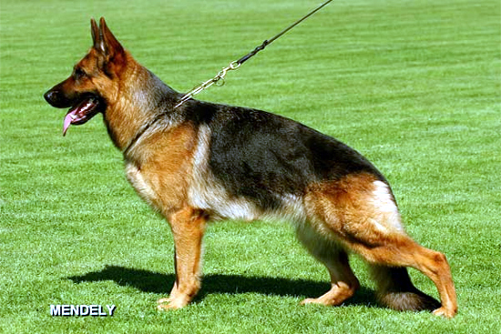 Yonna vom Hühnegrab