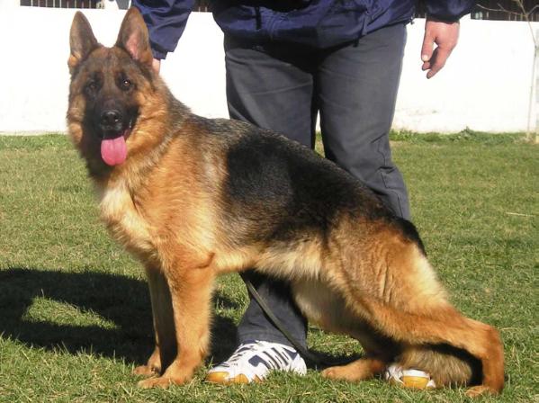 Reike Splitberg (BG)