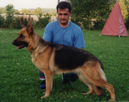 Linda vom Neuen Berg