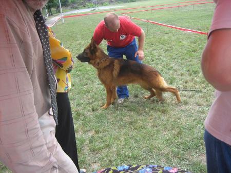 Yago vom IRF dan Sirijus