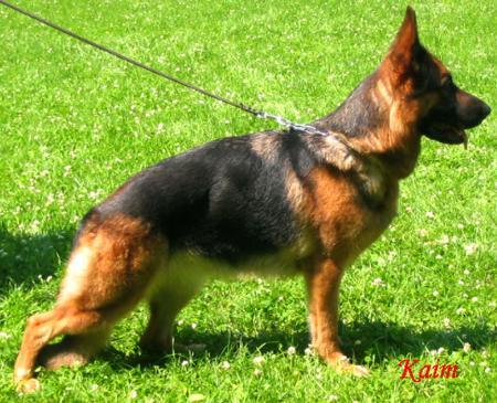 Bali vom Kapellenberg