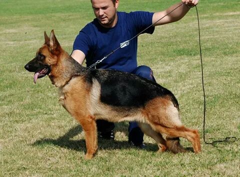 Zambia vom Team Schwarzaugen