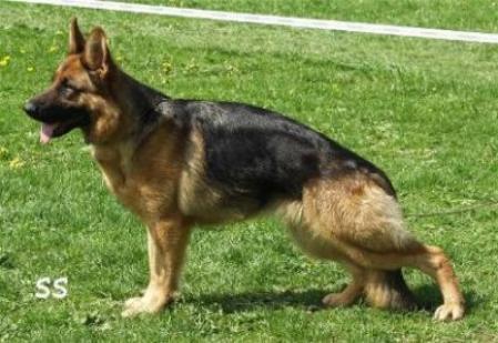 Donna von der Zenteiche