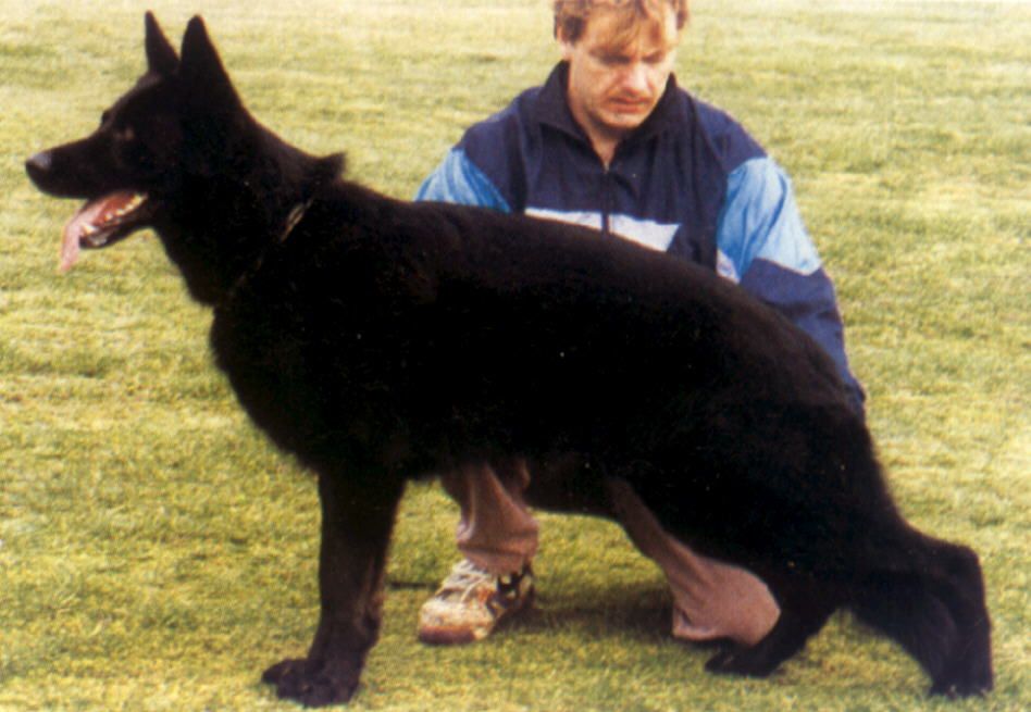 Franko vom Fehntjer Meer