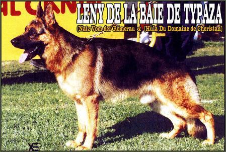 Leny de la Baie de Typaza
