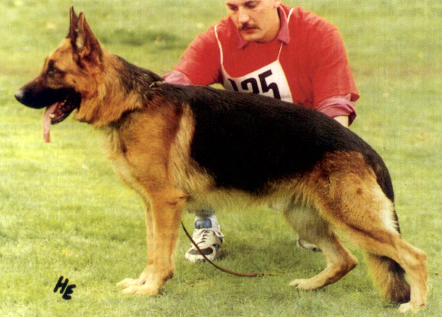 Norfu vom Mönchberg