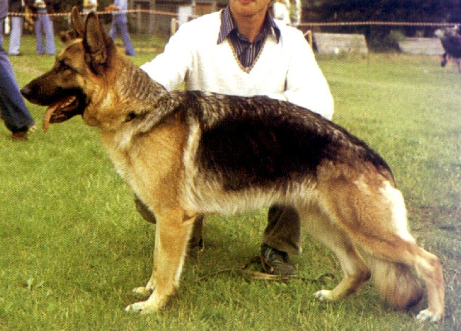 Antje vom Hülsbergtal